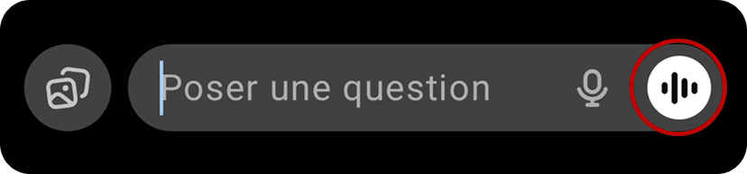 Button to start a voice live session